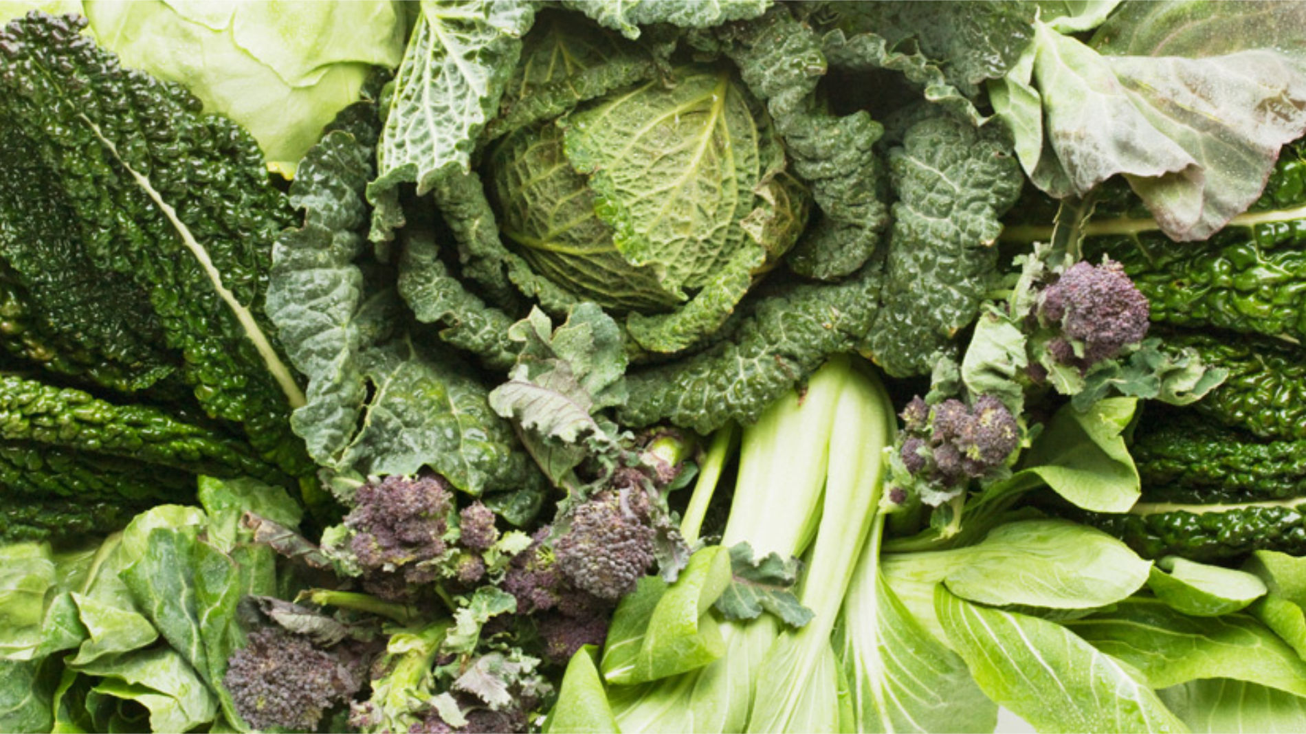 Frisches grünes Blattgemüse und Kohlsorten