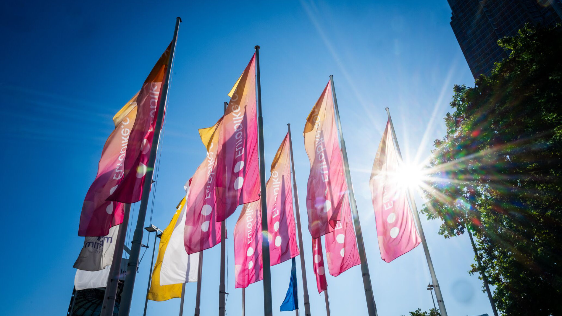 Colourful flags in sunlight against blue sky